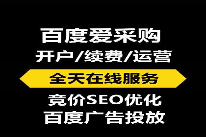 竞价端口开户后的广告投放策略案例